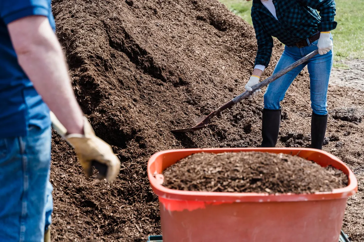 No-Dig Gardening for Beginners: Common Mistakes to Avoid